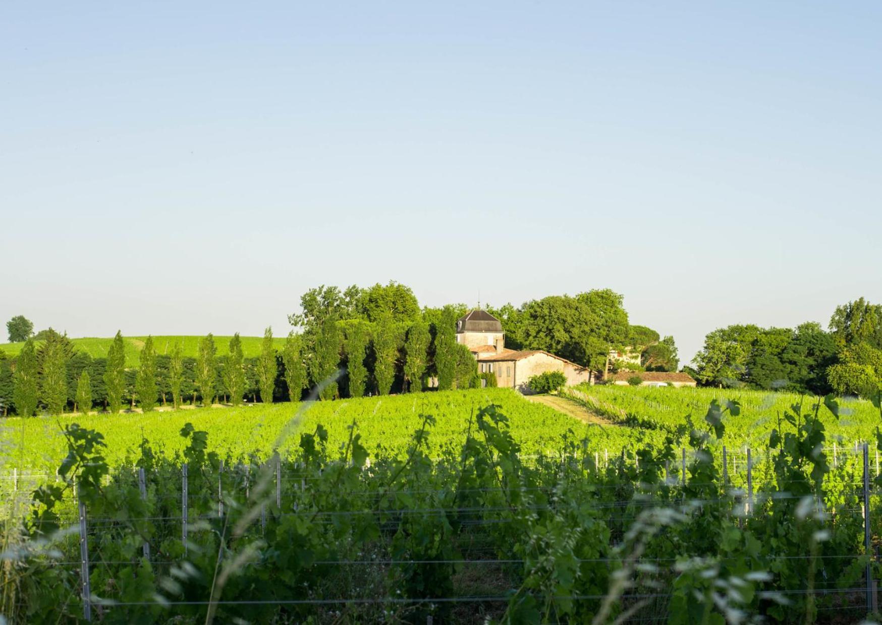 Atena Bordeaux Sud Est Creon - Velo Friendly Exterior photo